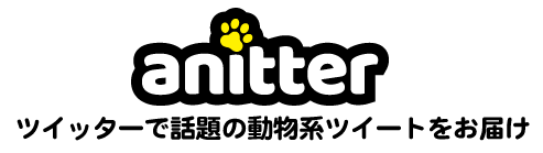 アニッター ツイッターで話題の動物動画ツイートをお届け